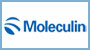 Moleculin Announces Positive Data on WP1066 in Pre-Clinical Trials